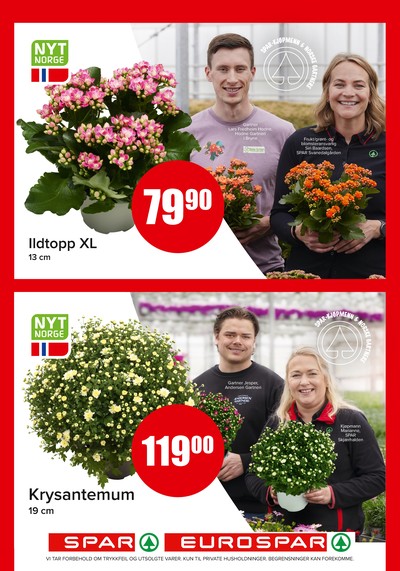 Spar - Eurospar kundeavis i uke 31 side 12