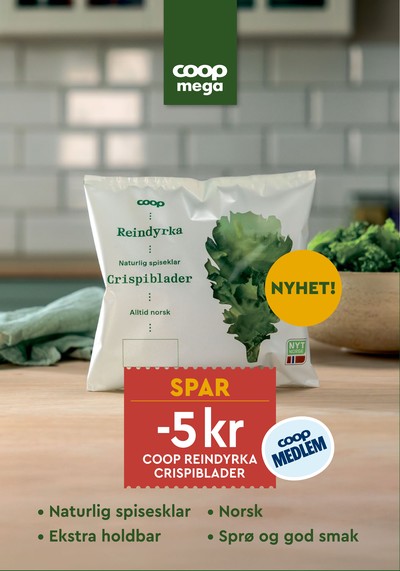 Coop Mega kundeavis i uke 32 side 13