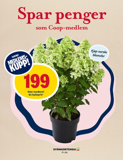 Matkroken kundeavis i uke 32 side 10