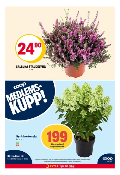 Coop Extra kundeavis i uke 33 side 29