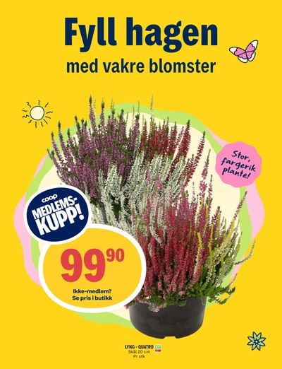 Coop Prix kundeavis i uke 35 side 11