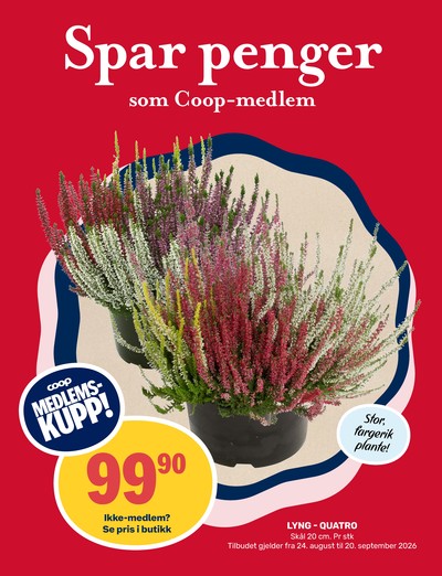 Matkroken kundeavis i uke 36 side 10
