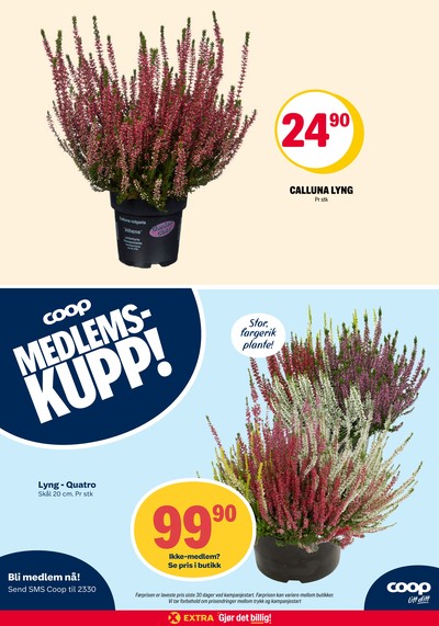 Coop Extra kundeavis i uke 37 side 31