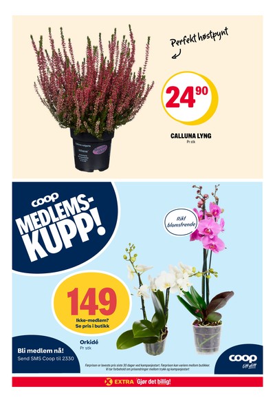 Coop Extra kundeavis i uke 39 side 31