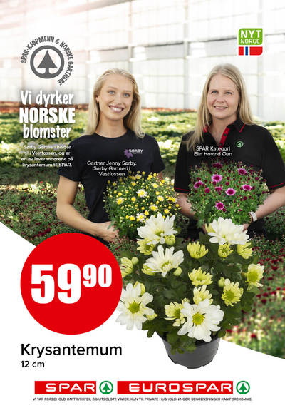 Spar - Eurospar kundeavis i uke 44 side 13
