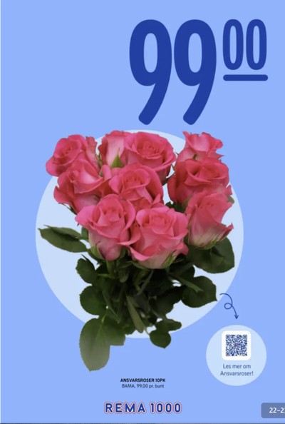 Rema 1000 kundeavis i uke 5 side 22