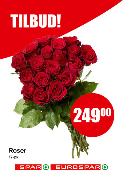 Spar - Eurospar kundeavis i uke 7 side 17